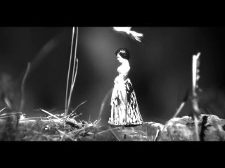 SANDRINE DESTEFANIS CLIP "SOUS LE SOLEIL D'EMMANUEL" (Y)