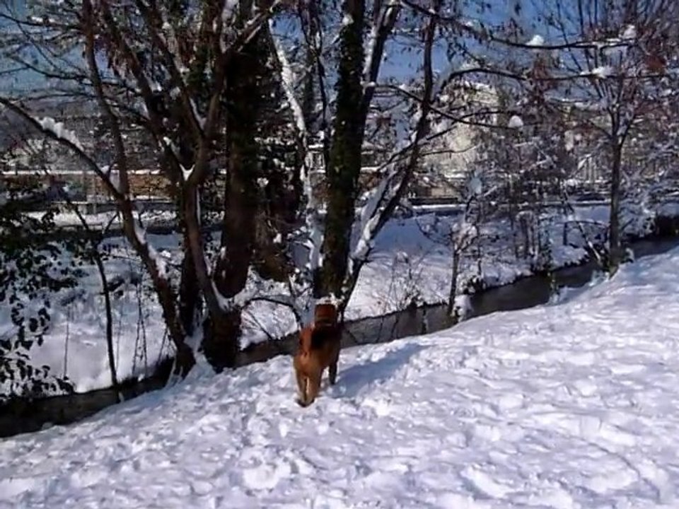 Boubi s'éclate in ze snow!