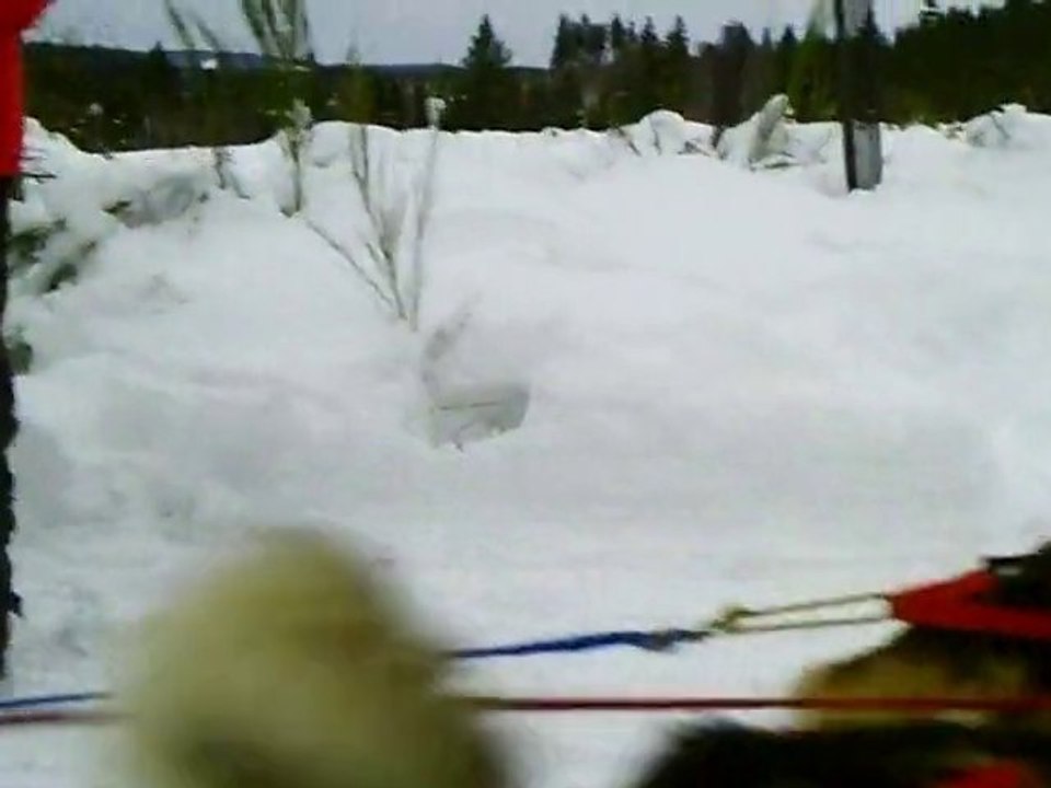 st setier correze 2010