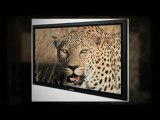 Cheapest LCD Televisions www.MyZeroCost.com
