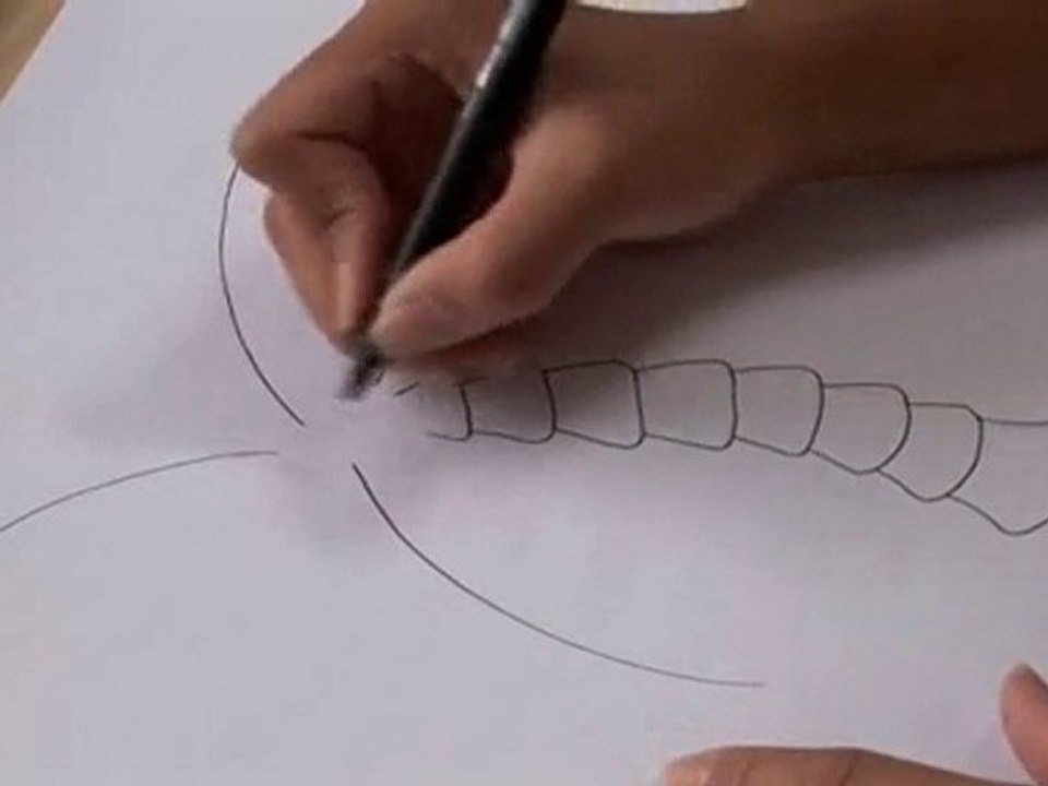 How To Draw A Palm Tree