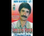 Abdullah Papur - Kurban Olayım Senin Selvi Boyuna