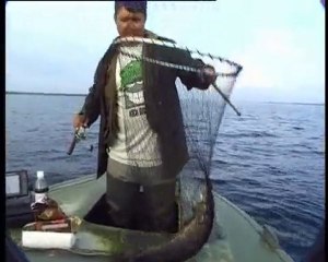 Рыбалка с нами — Окунь на rybalka.lt