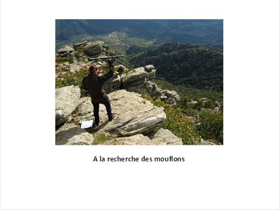 video caroux