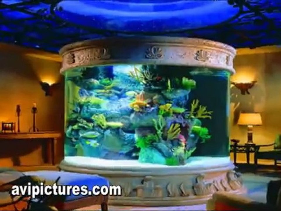 Tropical Fish in Orange OceanBlue New Address 1215 W Katella