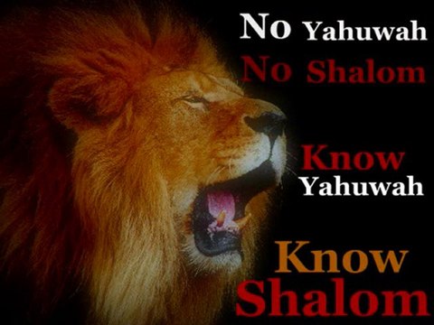 11 THE BIBLICAL HEBREWS OF THE BIBLE ON FALLENANGELS.TV