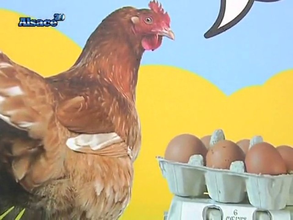 Un distributeur de produits fermiers! (Thann)