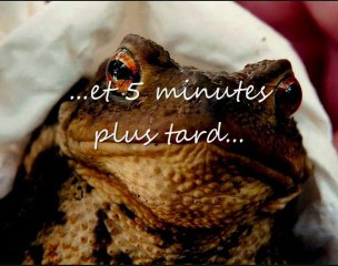 Cie Bouche à Bouche - GERMAINE