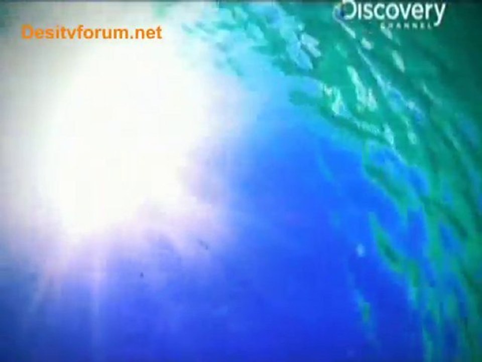 Iam Alive - 9th Dec 2010 Part1