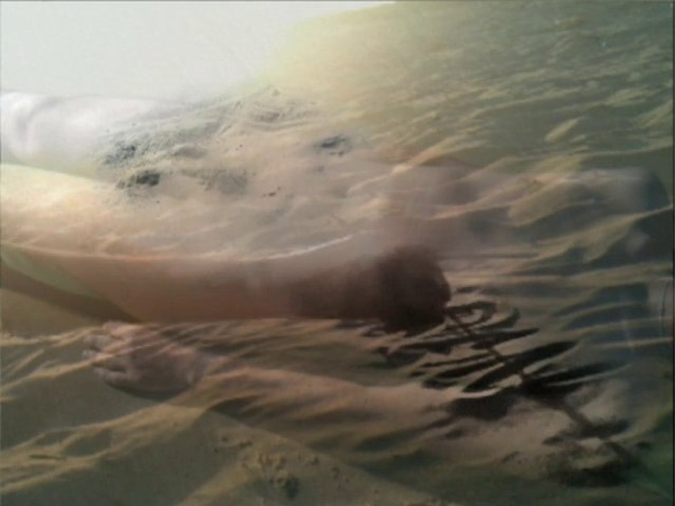 Trans and Sand-Gérard Chauvin- ECVP3 project