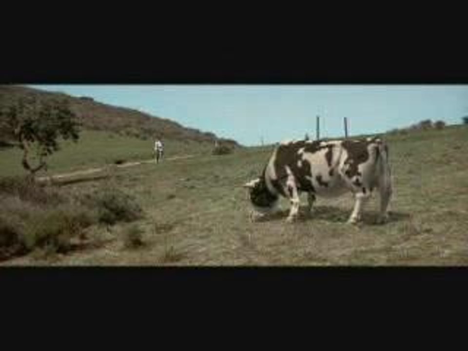 pub vache