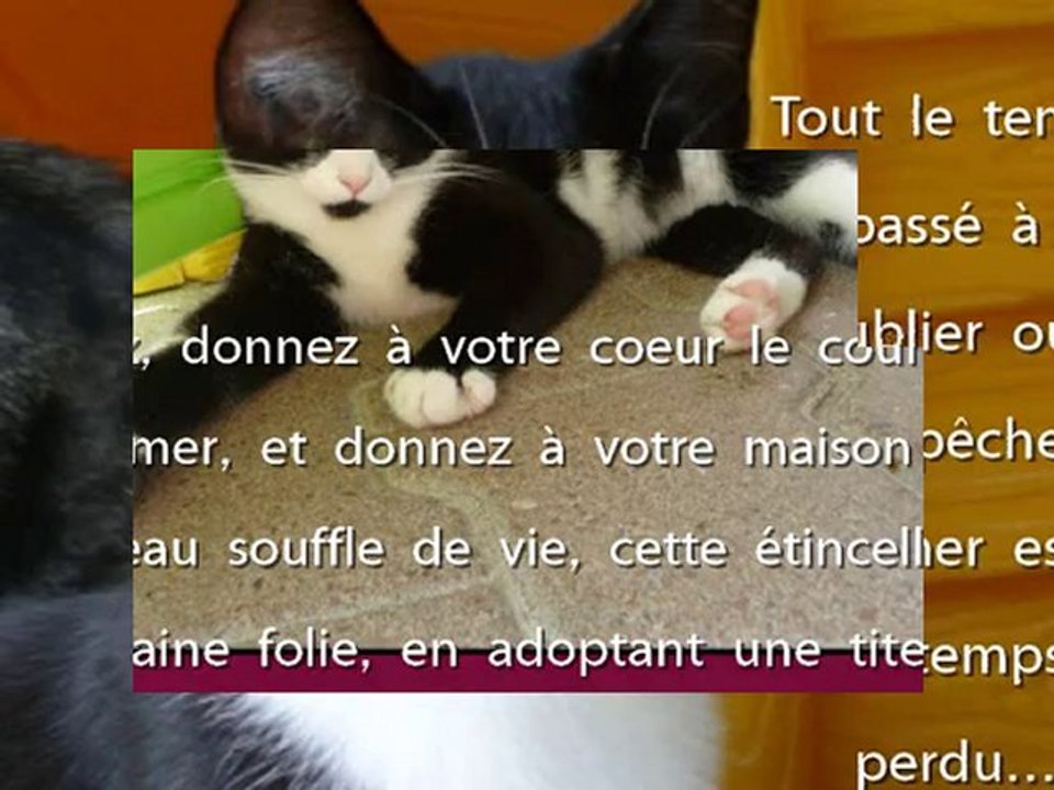 Dana vous attend au Refuge de Beauregard