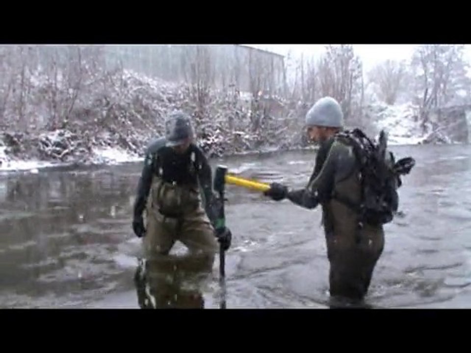 Survie sous graviers d'oeufs de saumons atlantique - LOGRAMI