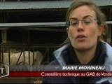 Agriculture biologique : quel avenir ? (Vendée)