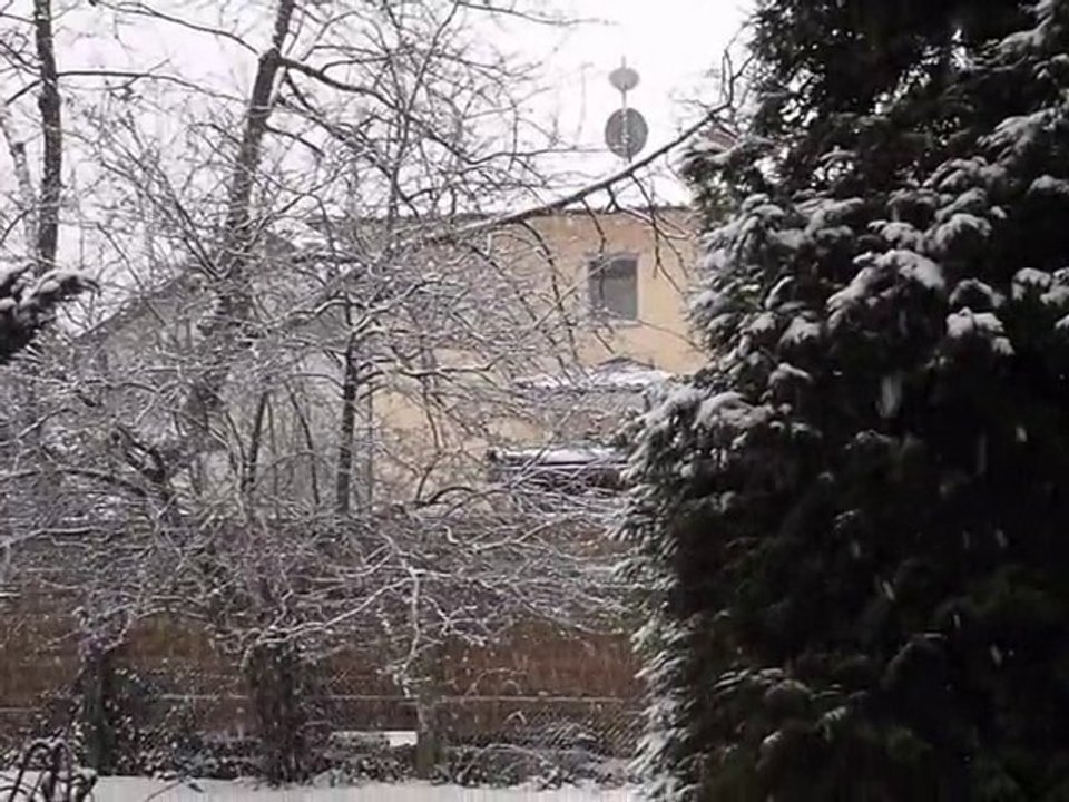 White Drug in our garden