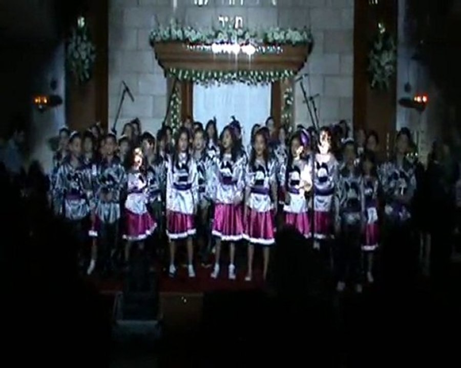 Hanuka Şenliği 2010