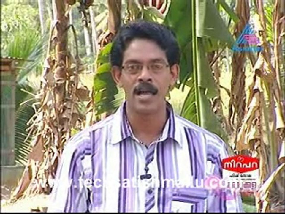 Adukalla
