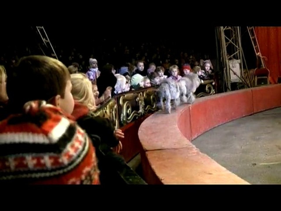 Tous au cirque