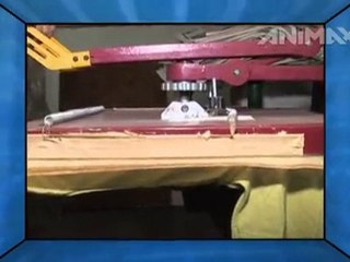 Mexican designers t-shirt illustrations!