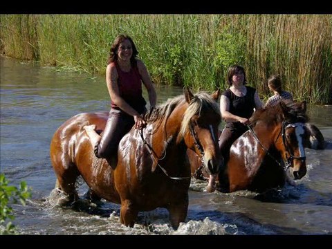 Bain des chevaux écomusée 24 mai 2010
