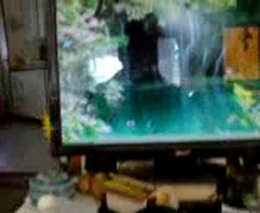 SOLEIL D HIVER ................MOMENT ,de rien