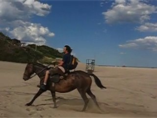 Hostel Etseliora - Cabalgatas en Mar del Plata