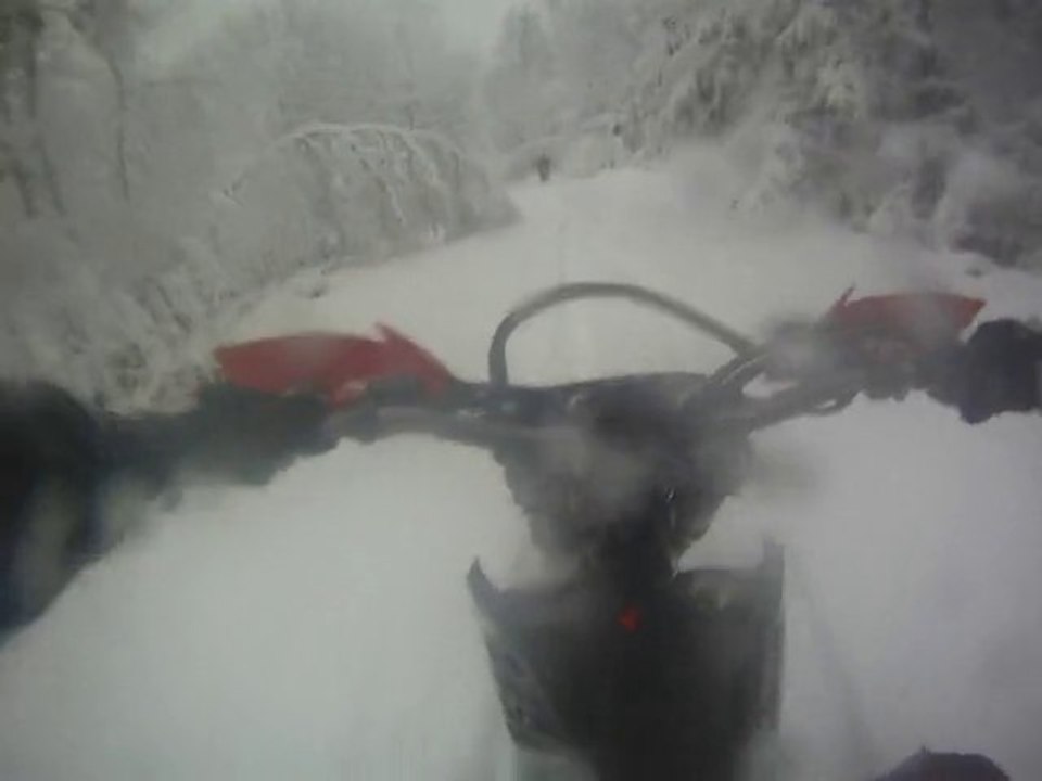 Foret sous la neige 2