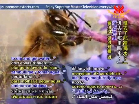 The Noble Heart of Animal Advocate Eliza Roberts - P2/3