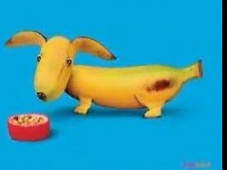 Meyve ve Sebzeler-Alfabetik Sıra