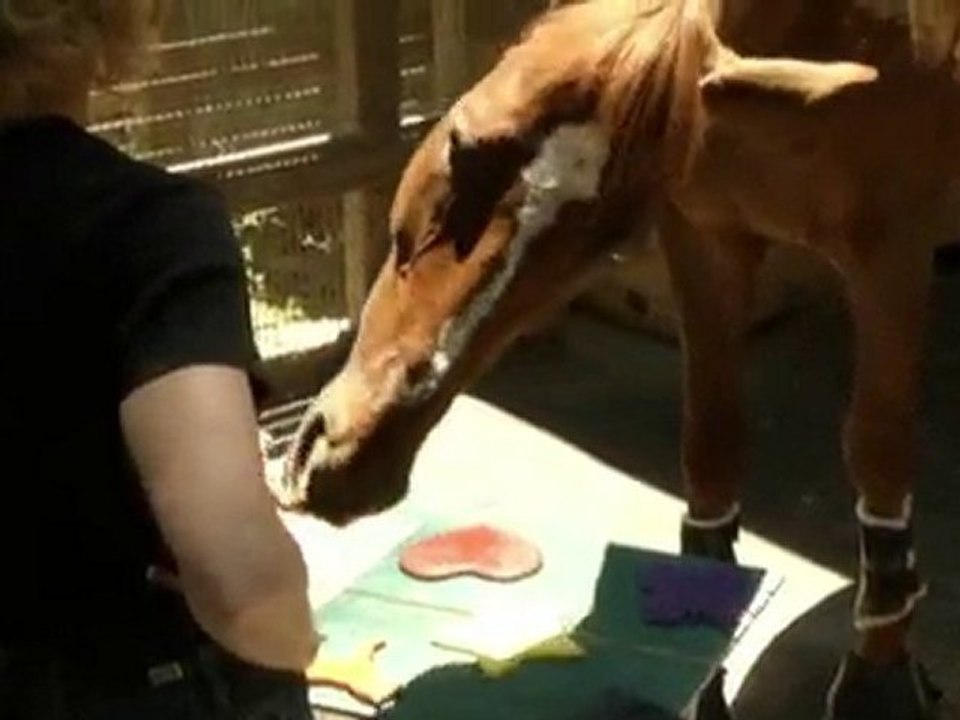A Million Hit Horse