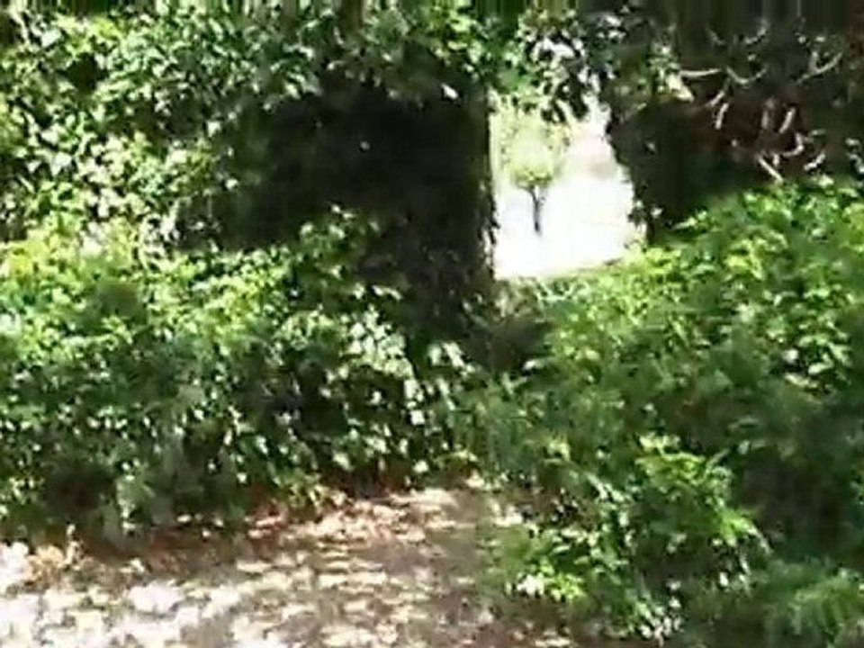 Hanbury Manor - the gardens overview