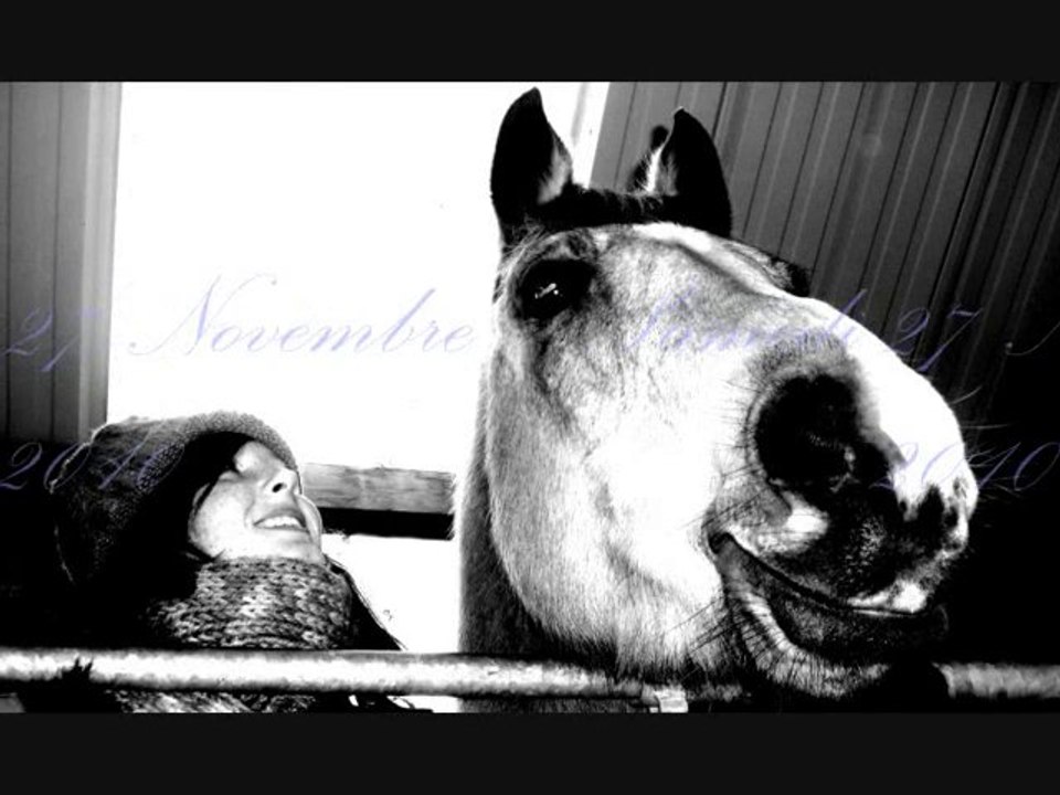 Moi && Nico / Dressage ♥