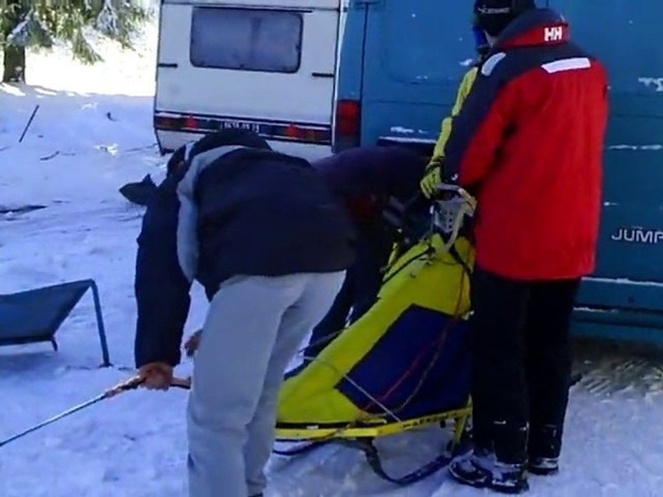 fête du chien de traineau st setier 2010