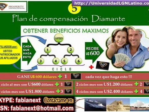 LGN PROSPERITY - Explicacion Del Negocio