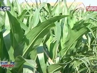 EUROPE HEBDO,Les OGM et la régulation financière en Europe