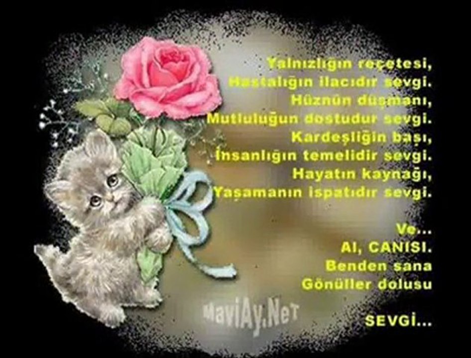 Ahmet Kaya - Söyle.