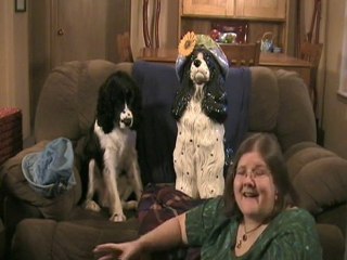 A (Law Of Attraction Tip) From A Dog Life Coach