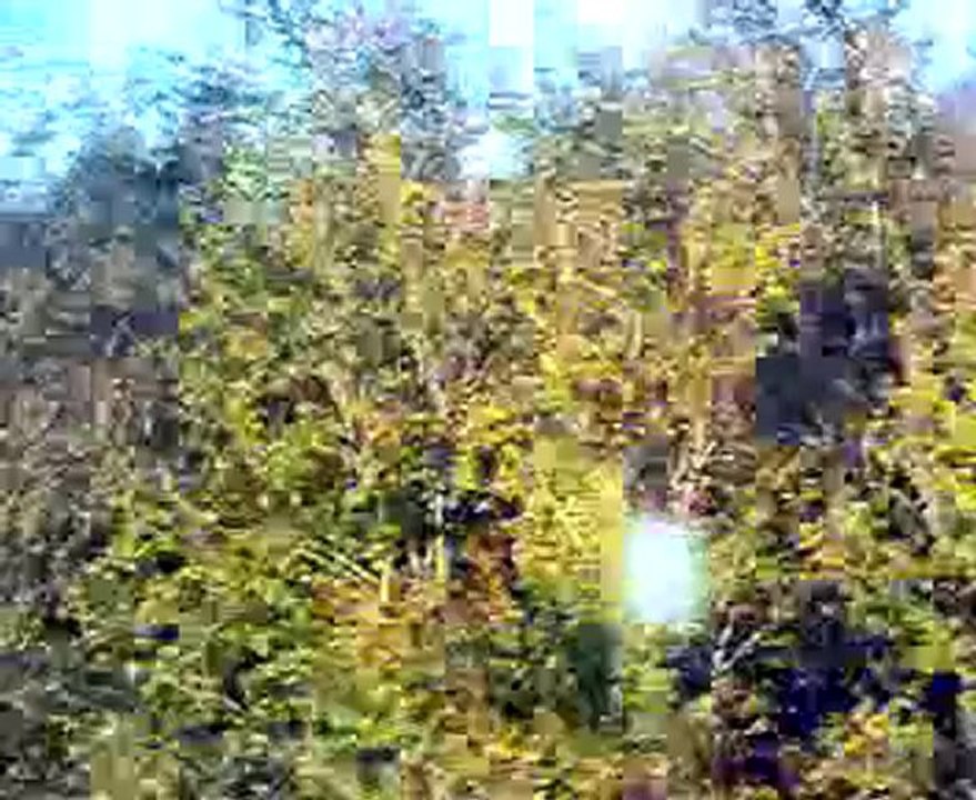 13092010387