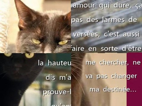 DIAMS vous attend au Refuge de Beauregard