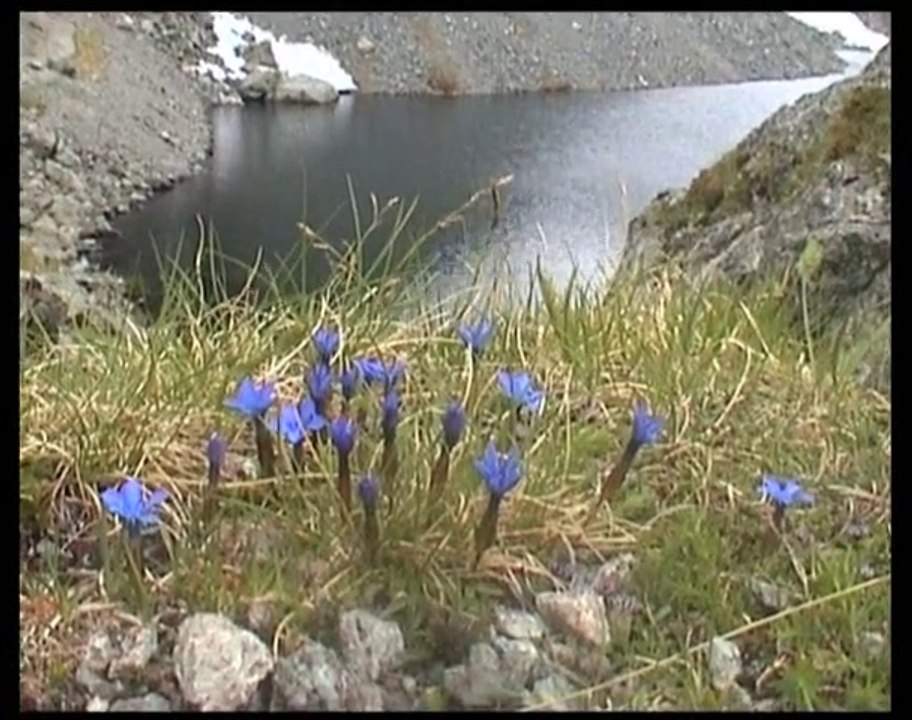 En joëlette au lac Crozet 1974 m – Belledonne