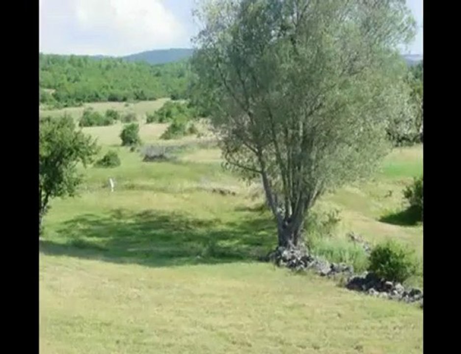 Davut Şahin - ELLİK