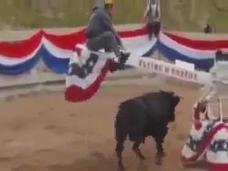 Sen boğadan akıllımı sanıyorsun kendin