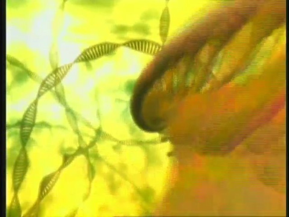 Les noms d'Allah 013 Ar-Rahman Ar-Rahim Le Très Miséricordie