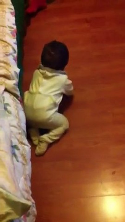 premiers 4 pattes de mon amour