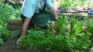 Limiter le travail au potager vido de terre nature