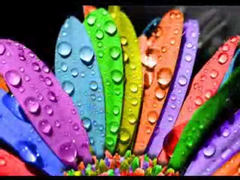 Ernesto Cortazar - Beethoven's Silence