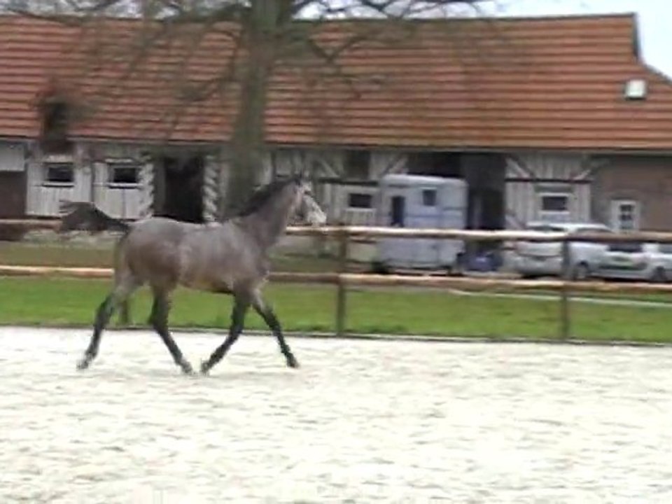 male AA saut en liberté 2 "U"