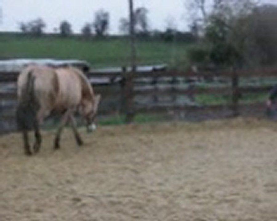 11 12 2010 maline en longe