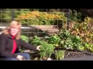 10-12-11 Senga's Vlog - What Veggies Can you Grow in Winter?