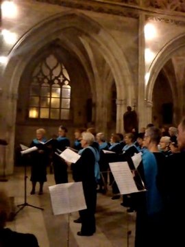 STILLE NACH ... 2010;;DOUCE NUIT ...ON DIRAIT QUE NOéL